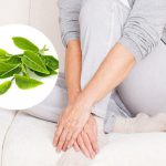 Lá trà xanh giúp chữa hôi vùng kín hiệu quả